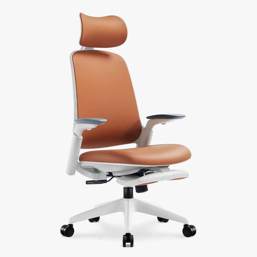 Leather Ergonomic Office Chair with Footrest R9904