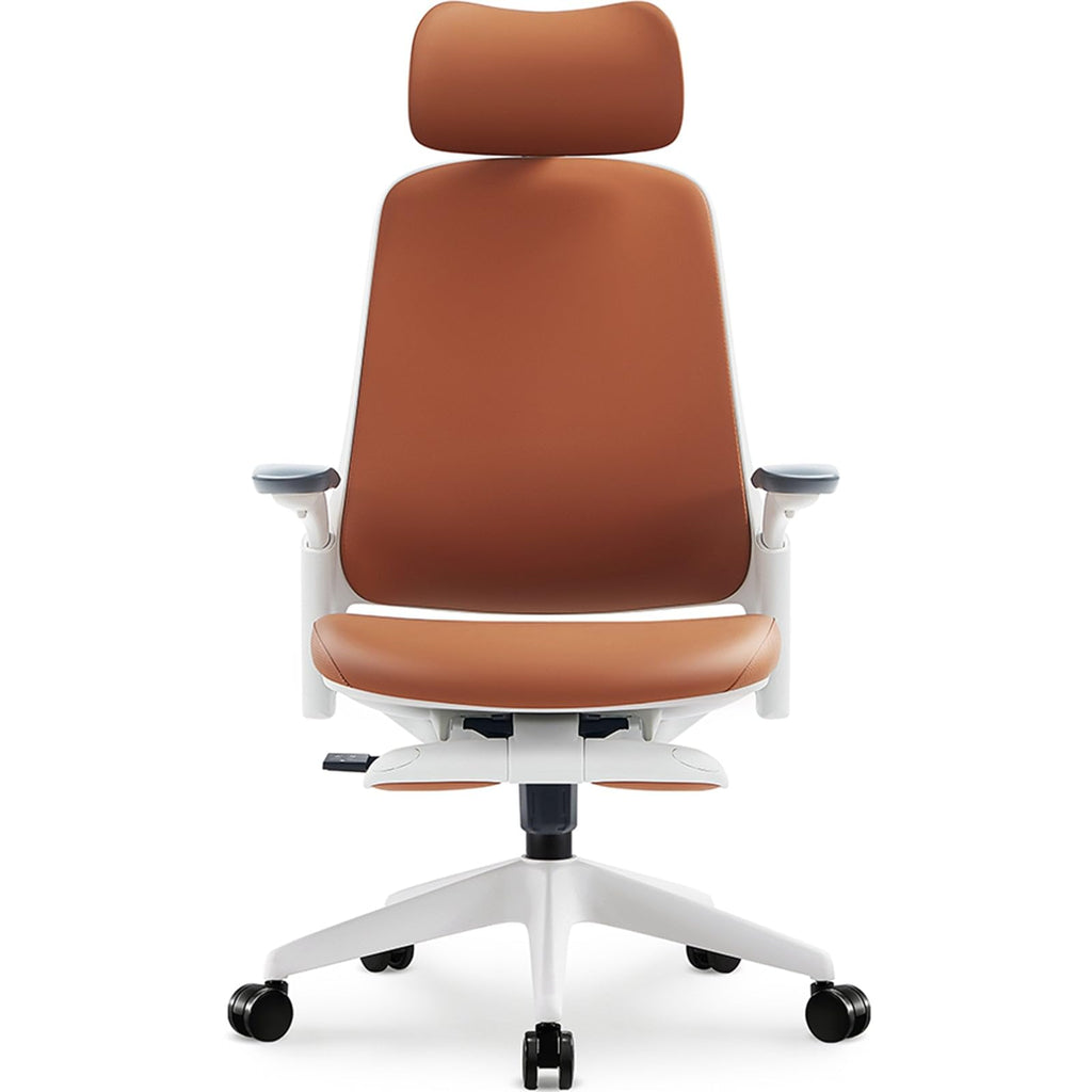 Leather Ergonomic Office Chair with Footrest R9904