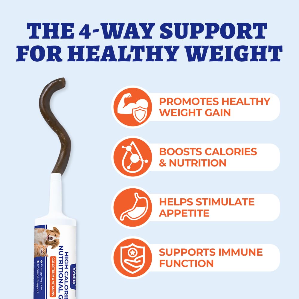 Nutritional Gel with Taurine for Dogs & Cats C838