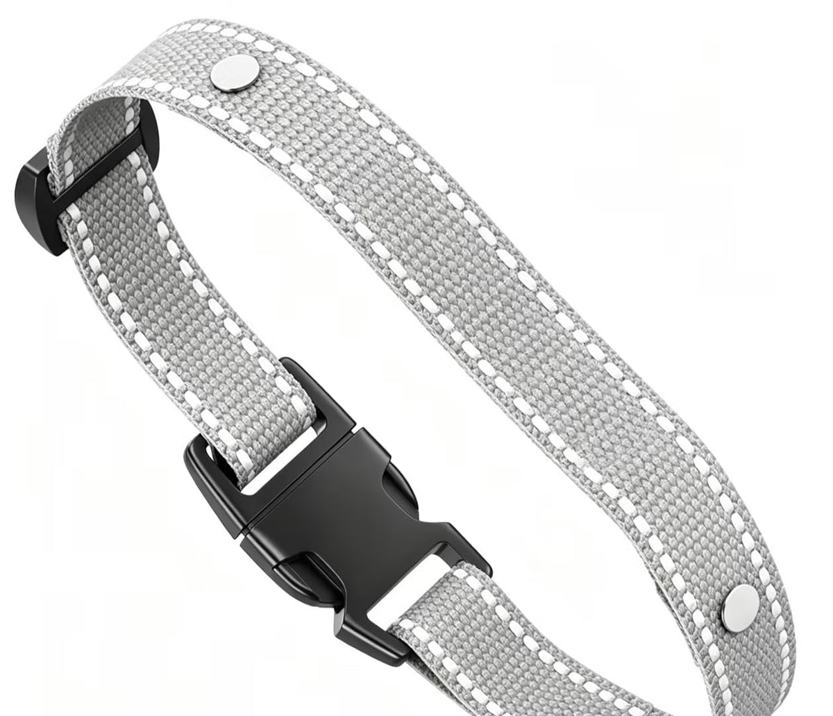 Wireless Dog Fence B866428