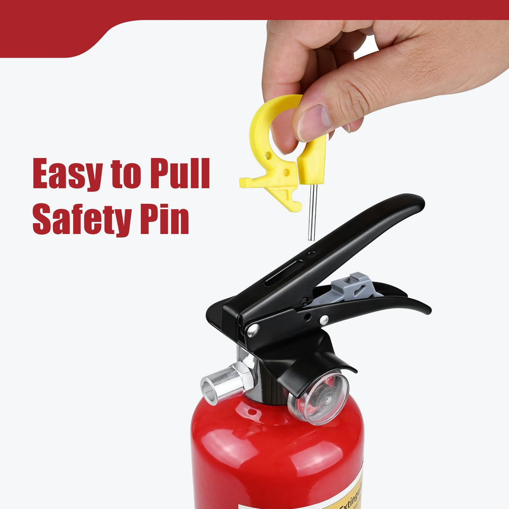 2.5 lb ABC Dry Chemical Fire Extinguishers R204