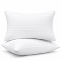 King Size Down Alternative Pillows Set of 2 R5807