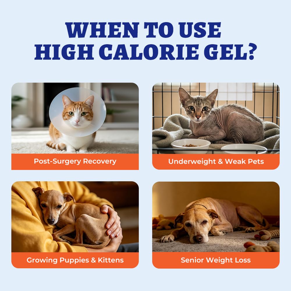 Nutritional Gel with Taurine for Dogs & Cats C838