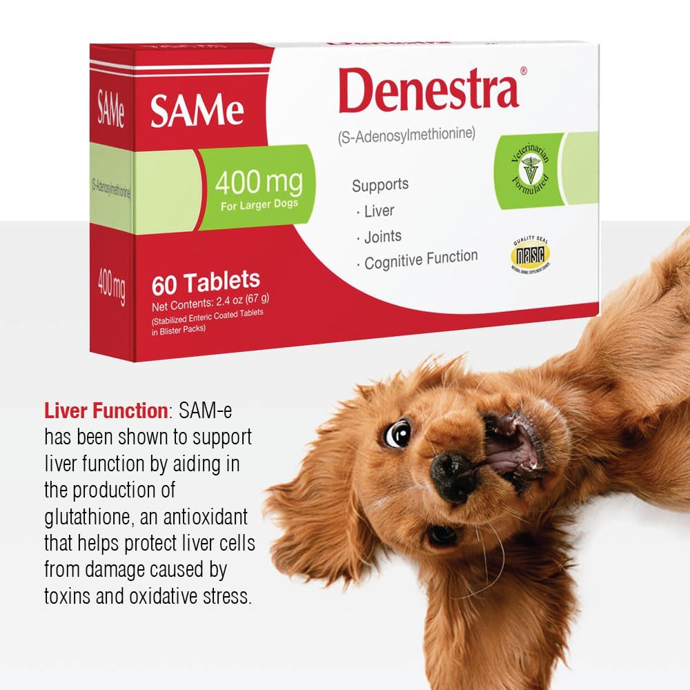Same for Dogs 200 mg 60 Tablets F970113