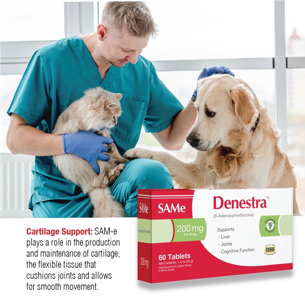 Same for Dogs 200 mg 60 Tablets F970113