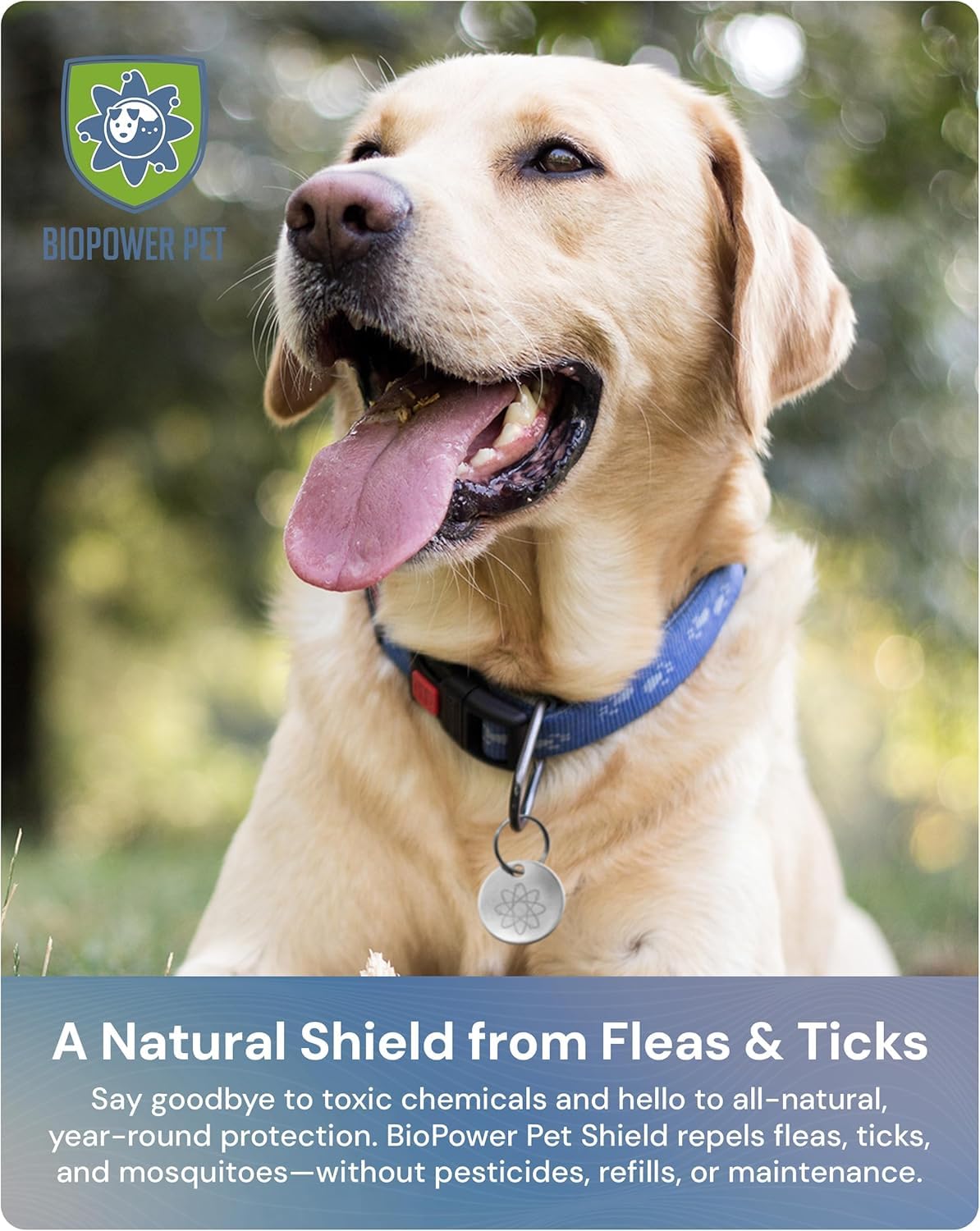 Natural Flea & Tick Repellent Collar Tag for Dogs & Cats Stainless Steel 2 Pack C93417