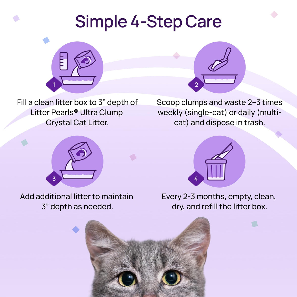 Unscented Crystal Clumping Cat Litter 8lb Z32032