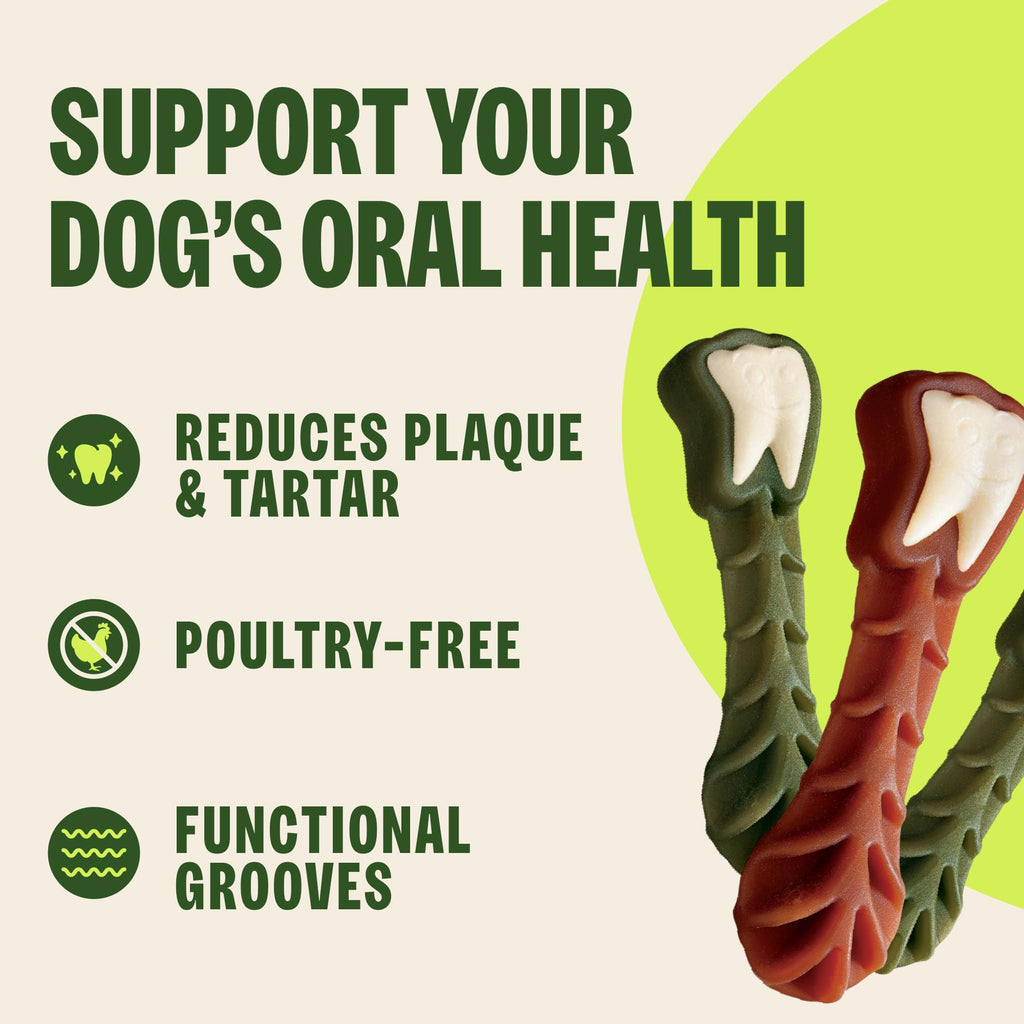 Natural Dog Dental Treat 12.7 oz 48 Count O2149