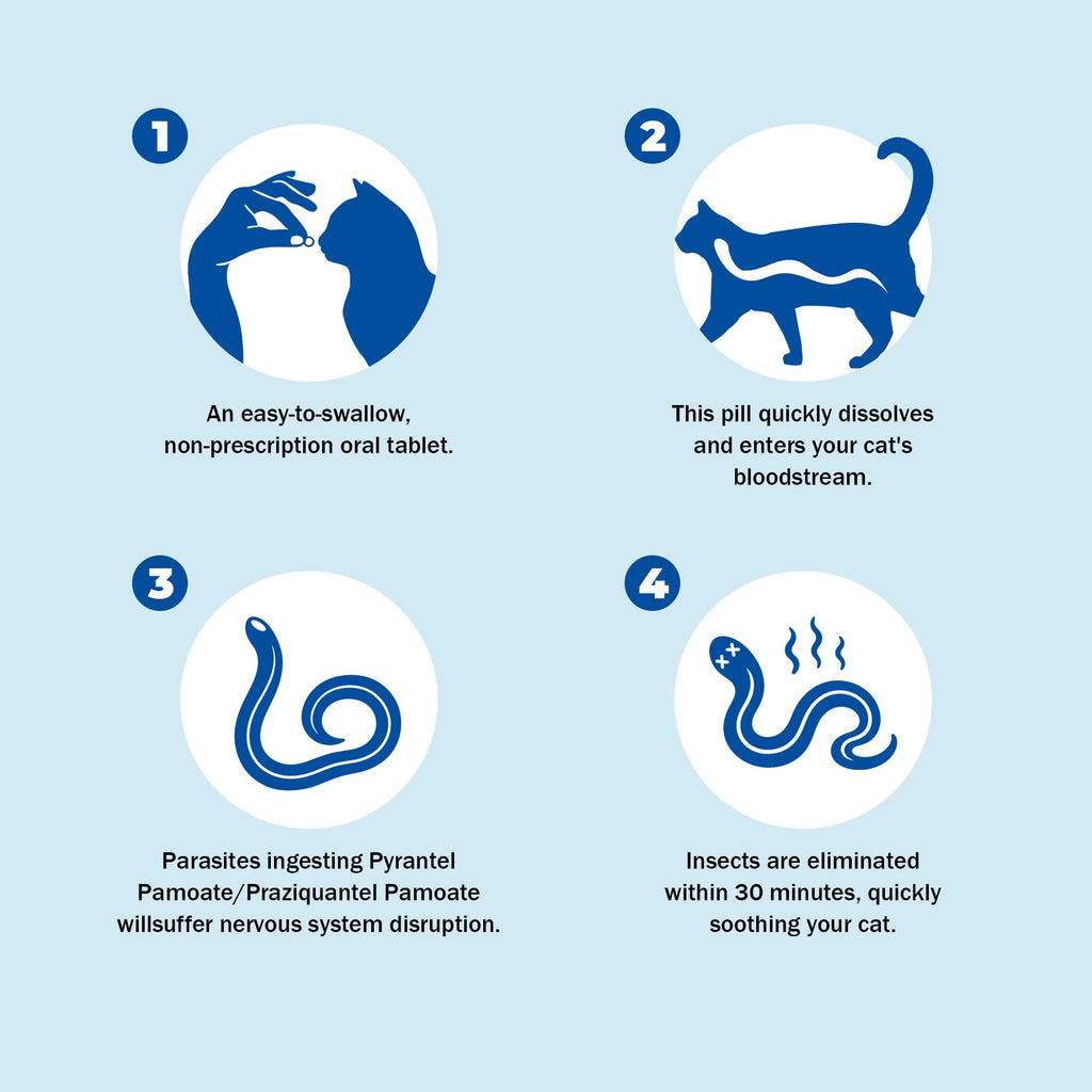 Pyrantel Pamoate Praziquantel Dewormer Tablets for Cats & Dogs F620