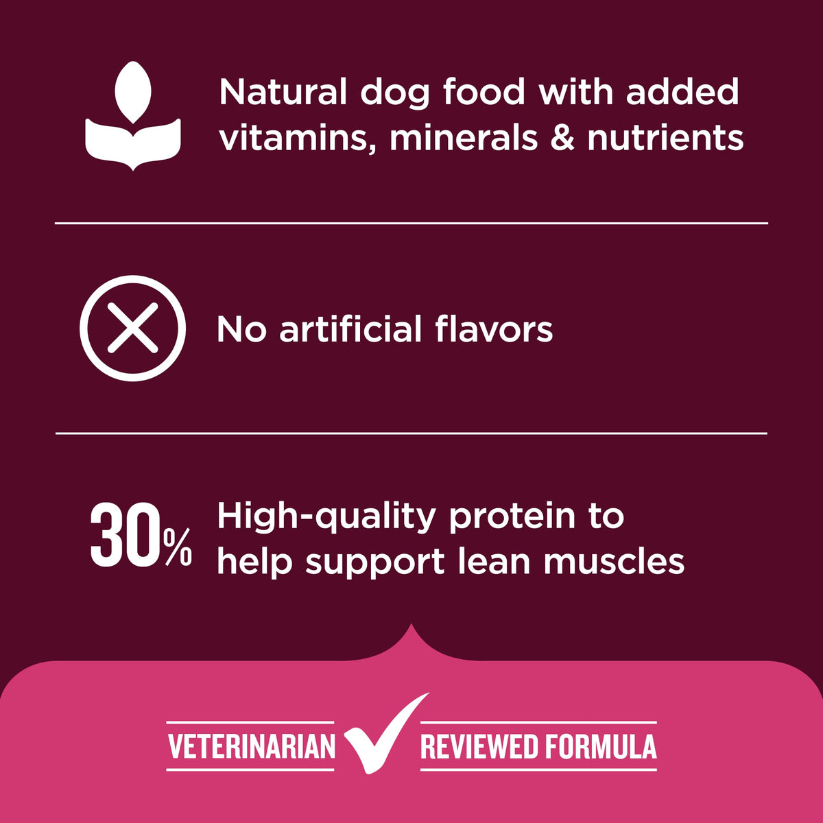 High Protein Dry Dog Food 4 lb. Bag V5466