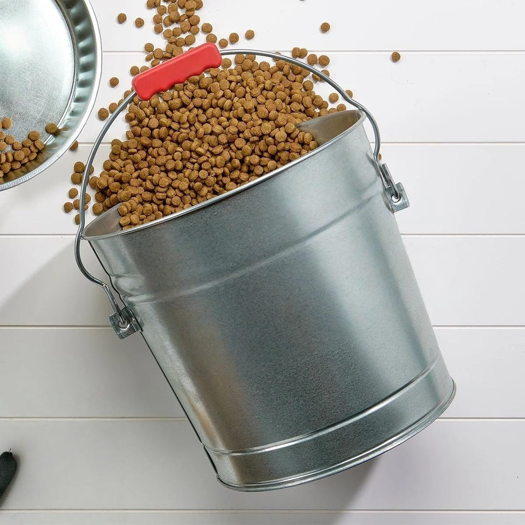 6-Gallon Galvanized Steel Storage Can with Locking Lid I194