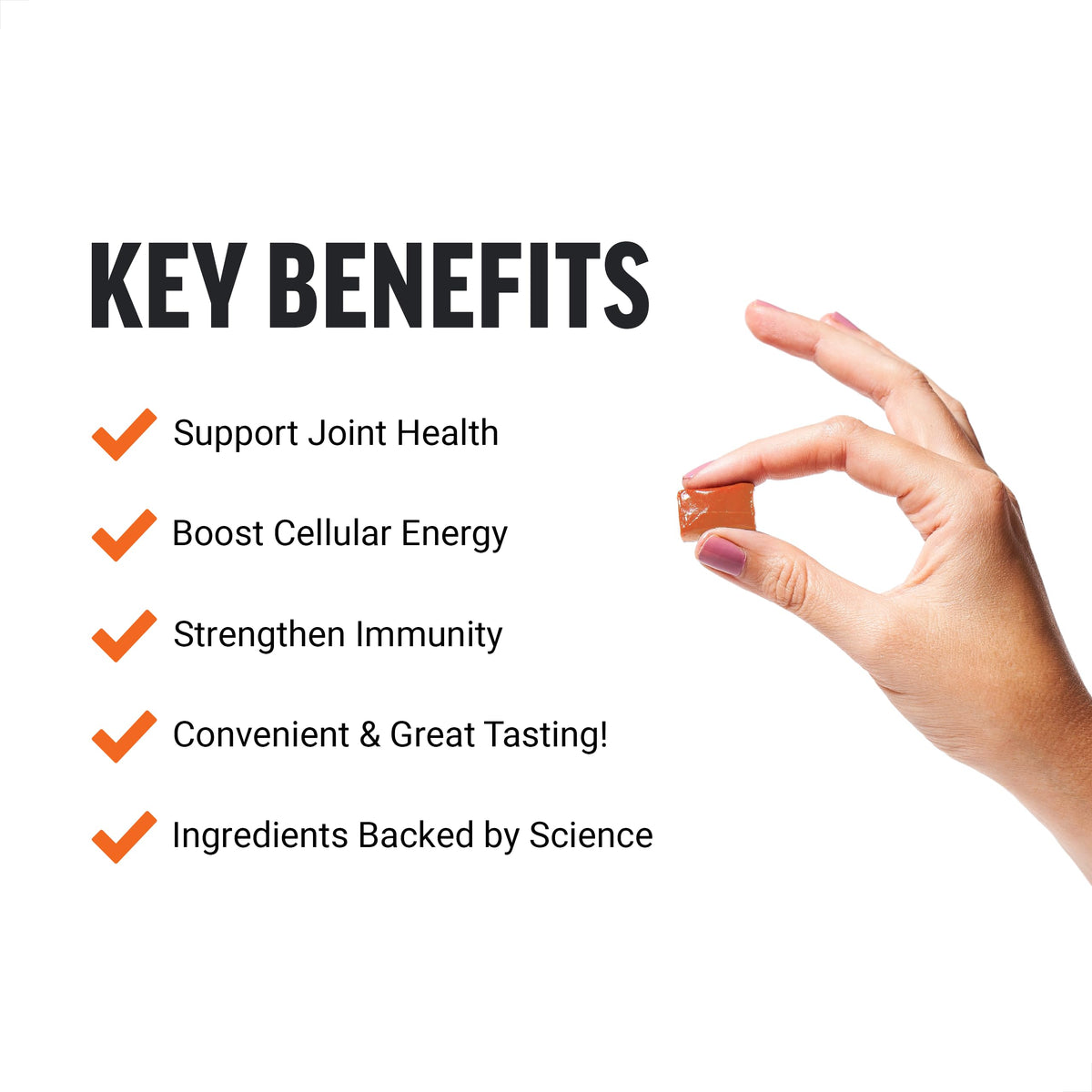 Beet Powder & Turmeric Joint Support Supplement S336514