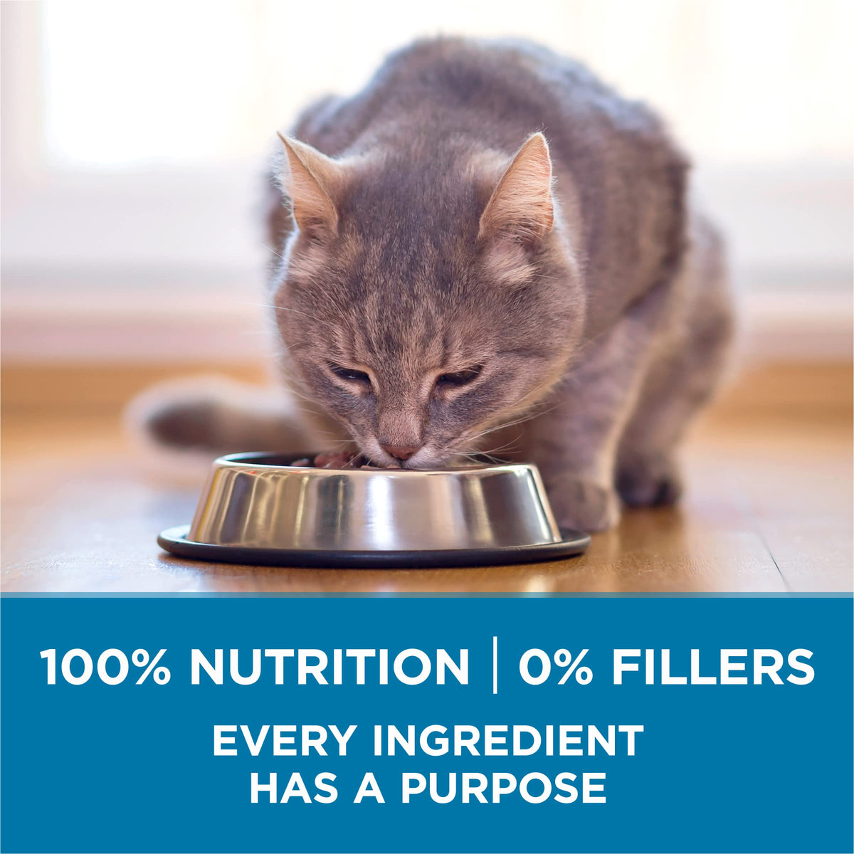 Senior Dry Cat Food 3.5 lb Bag T808405
