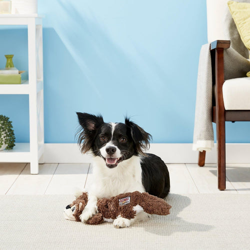 2 Pack Stuffing-Free Plush Dog Toy with Knotted Ropes & Squeaker F855
