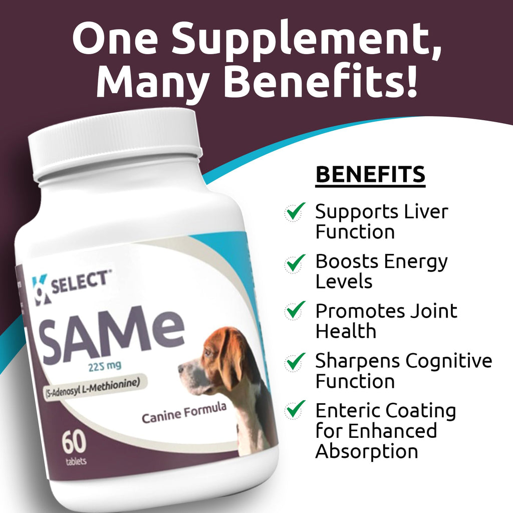 Dog Liver Supplement 60 Tablet 225mg Q27895
