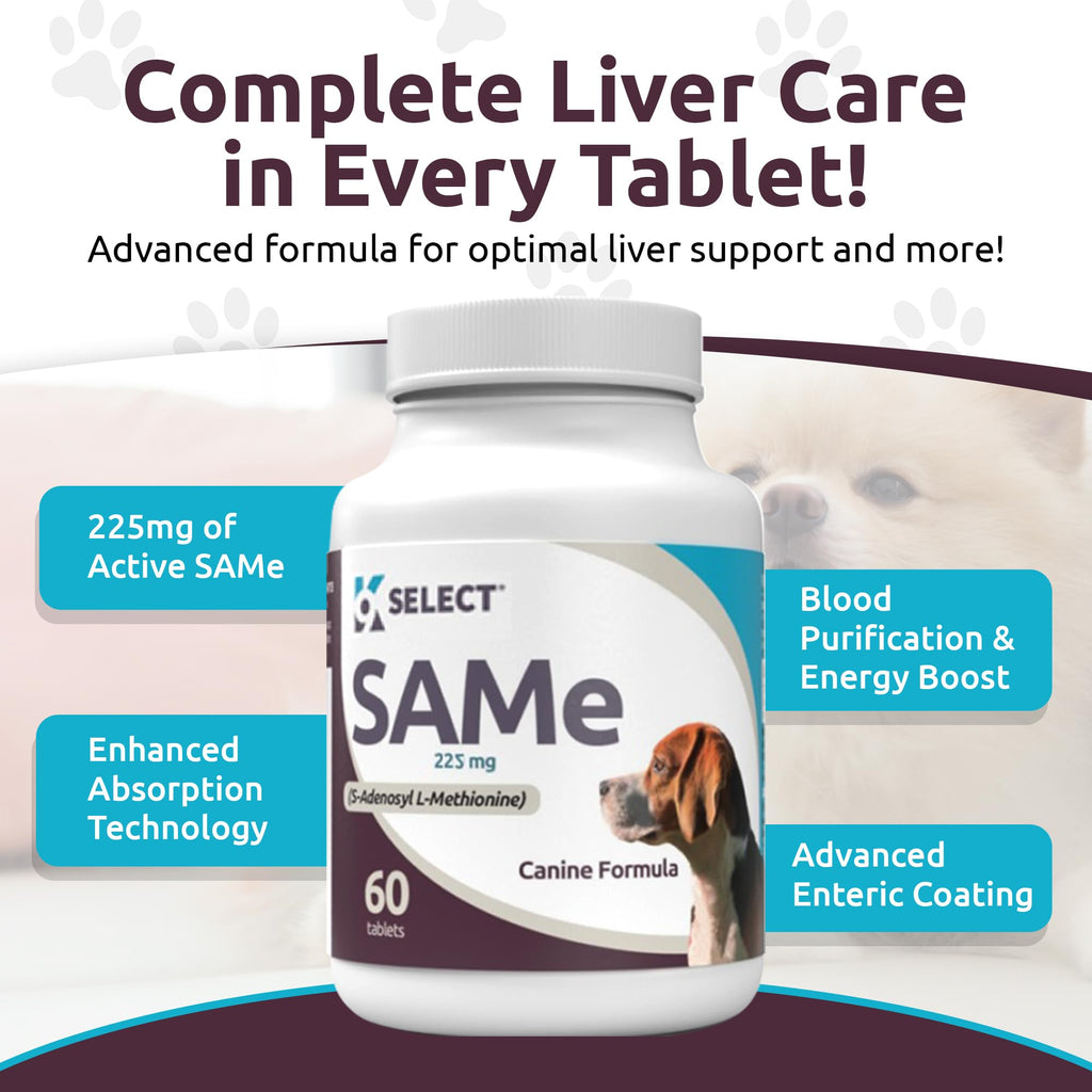 Dog Liver Supplement 60 Tablet 225mg Q27895