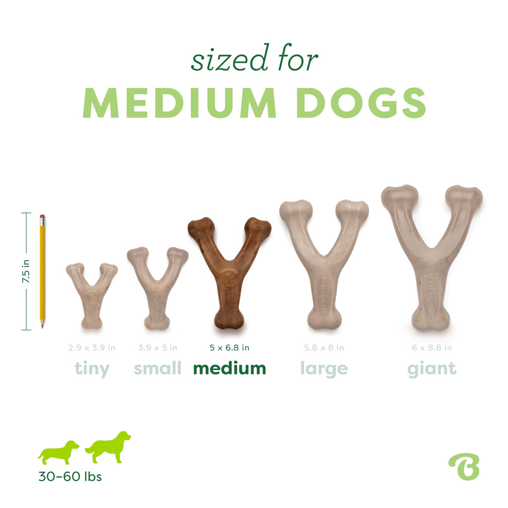 Wishbone Dog Chew Toy Medium S644
