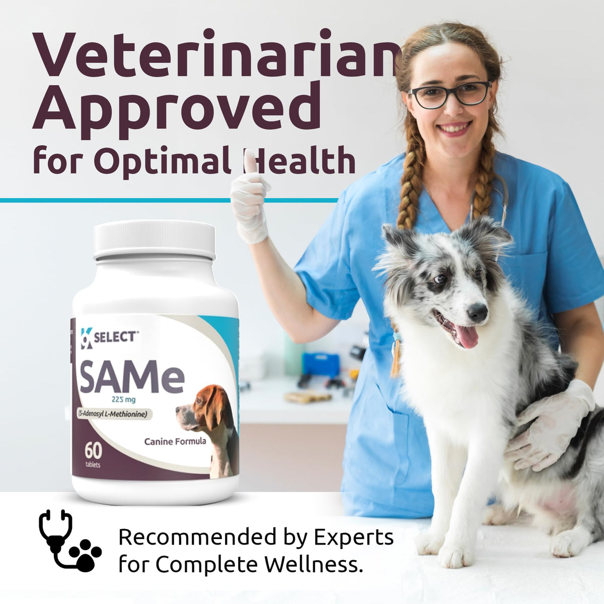 Dog Liver Supplement 60 Tablet 225mg Q27895