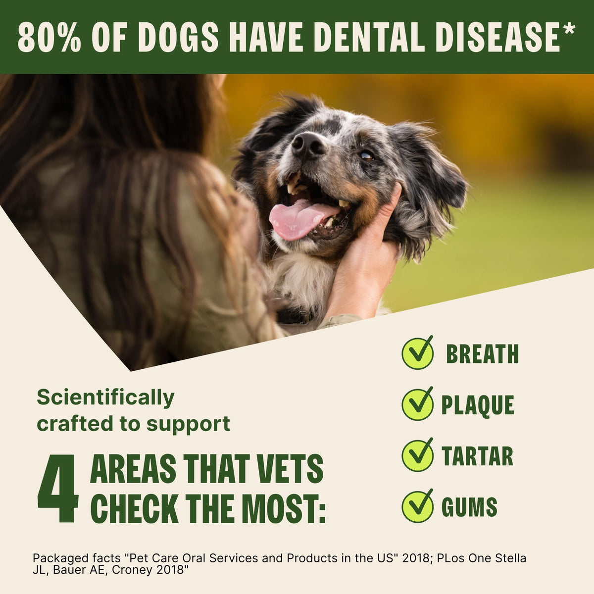 Natural Dog Dental Treat 12.7 oz 48 Count O2149