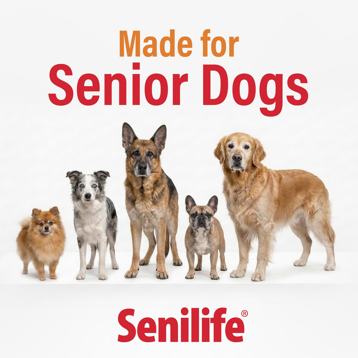 Cognitive Support Capsules for Senior Dogs, 30 Capsules J936604