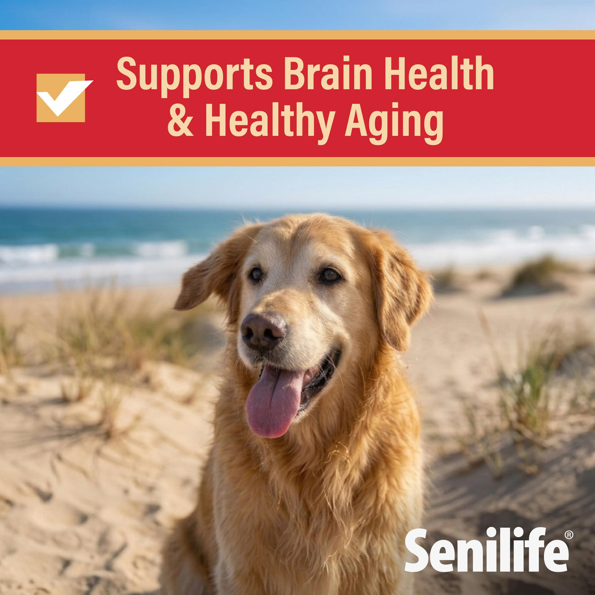 Cognitive Support Capsules for Senior Dogs, 30 Capsules J936604