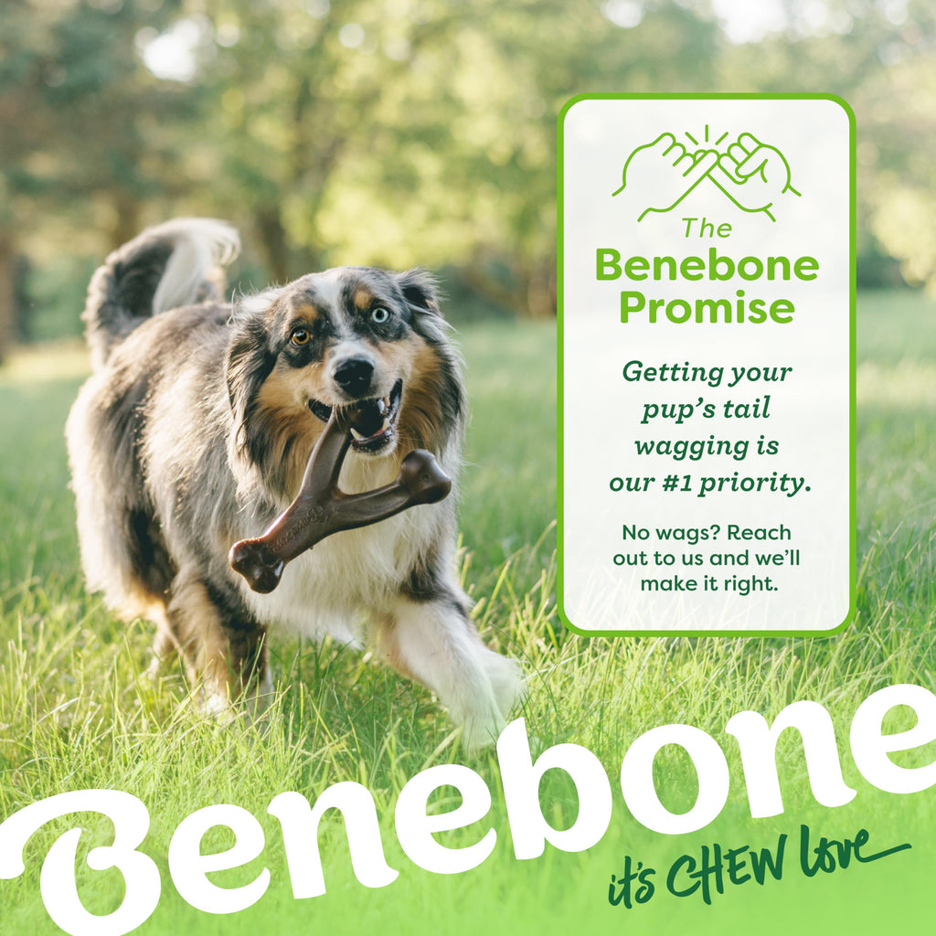 Wishbone Dog Chew Toy Medium S644