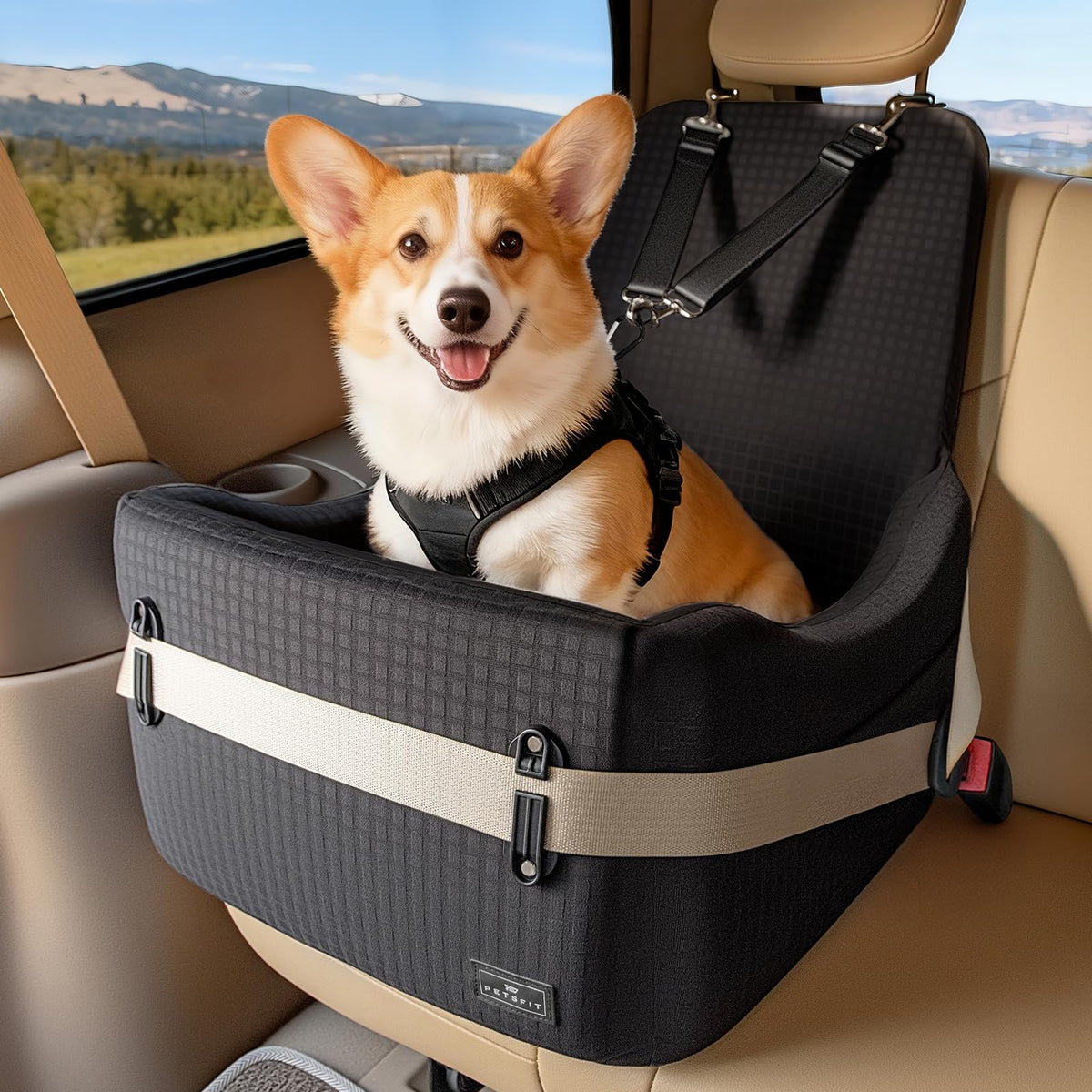Dog Car Seat with Elevated Cushion Q141137
