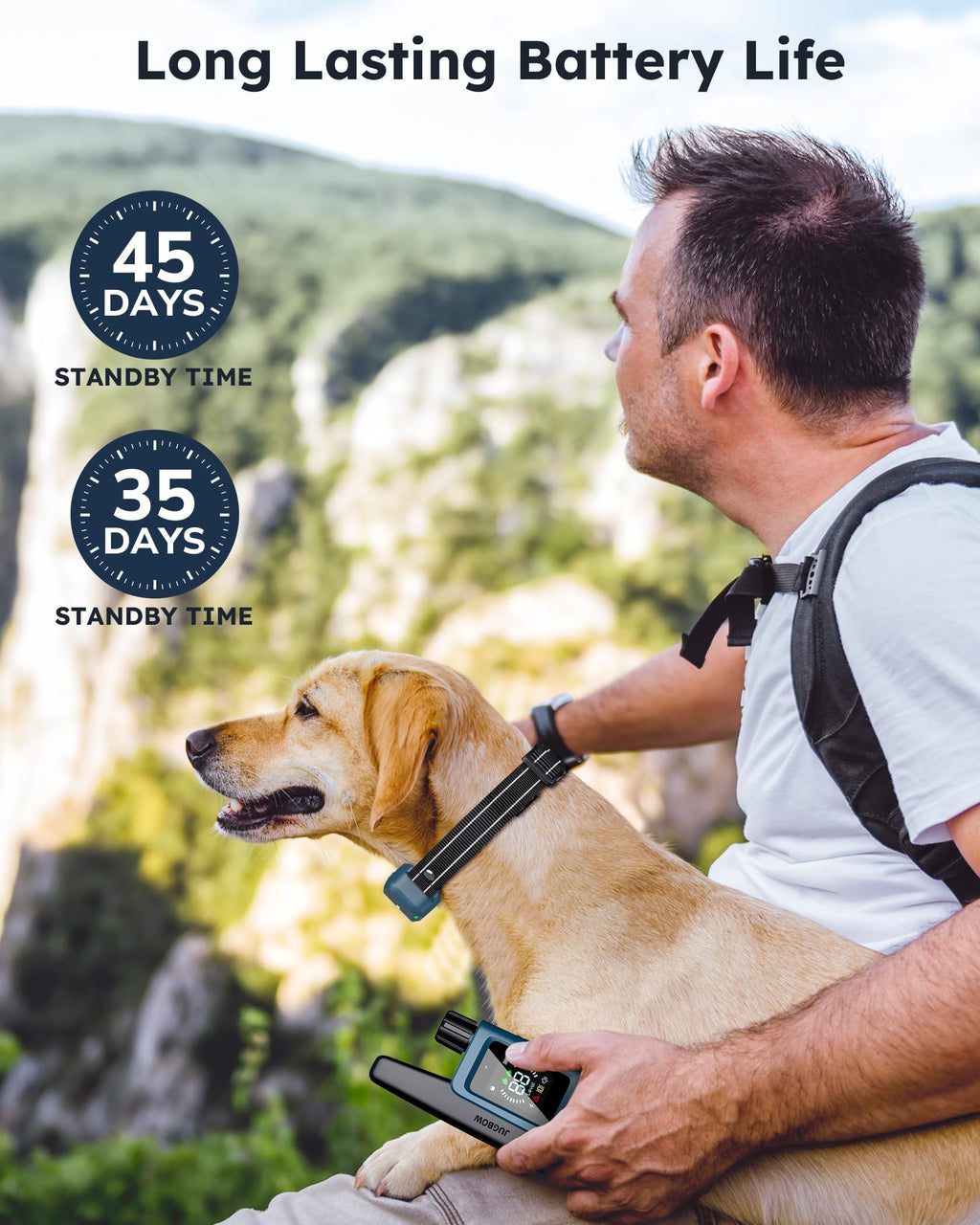 Dog Shock Collar with Remote W3472