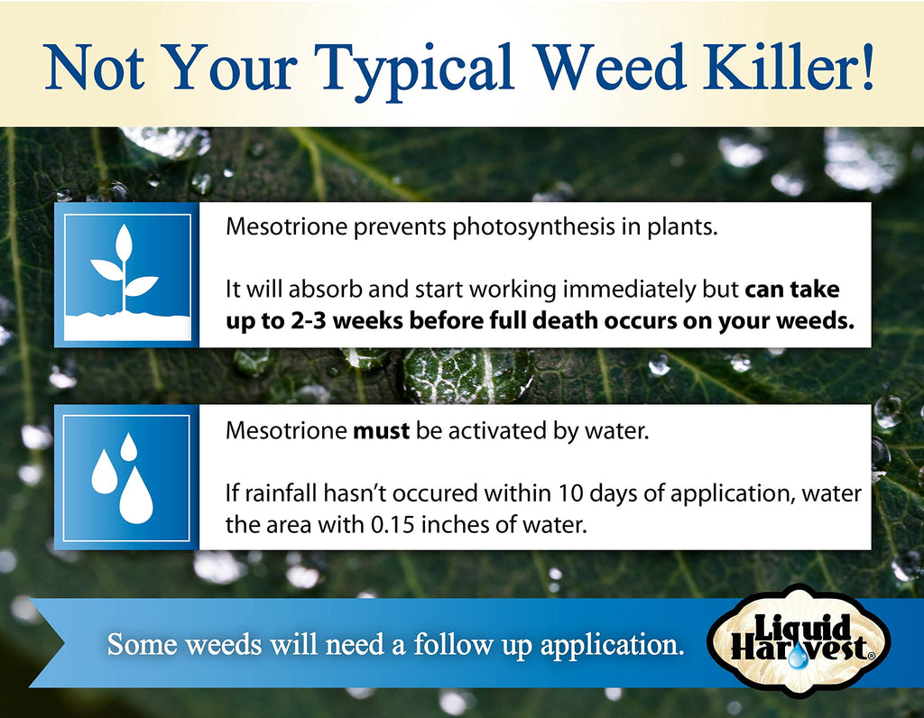 Non Ionic Surfactant 16oz and Mesotione 8oz Weed Killer P57690