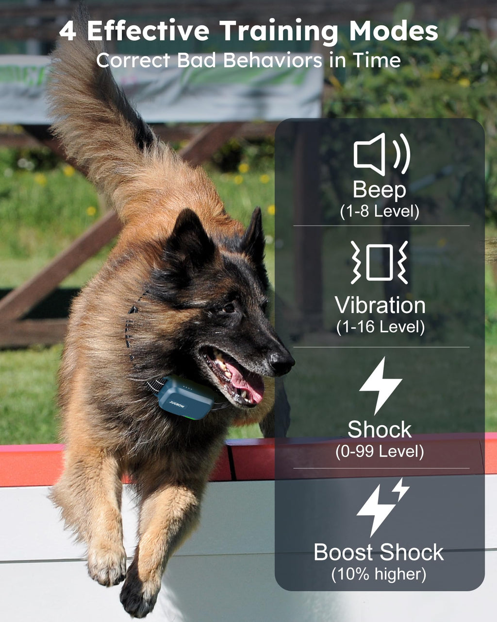 Dog Shock Collar with Remote W3472