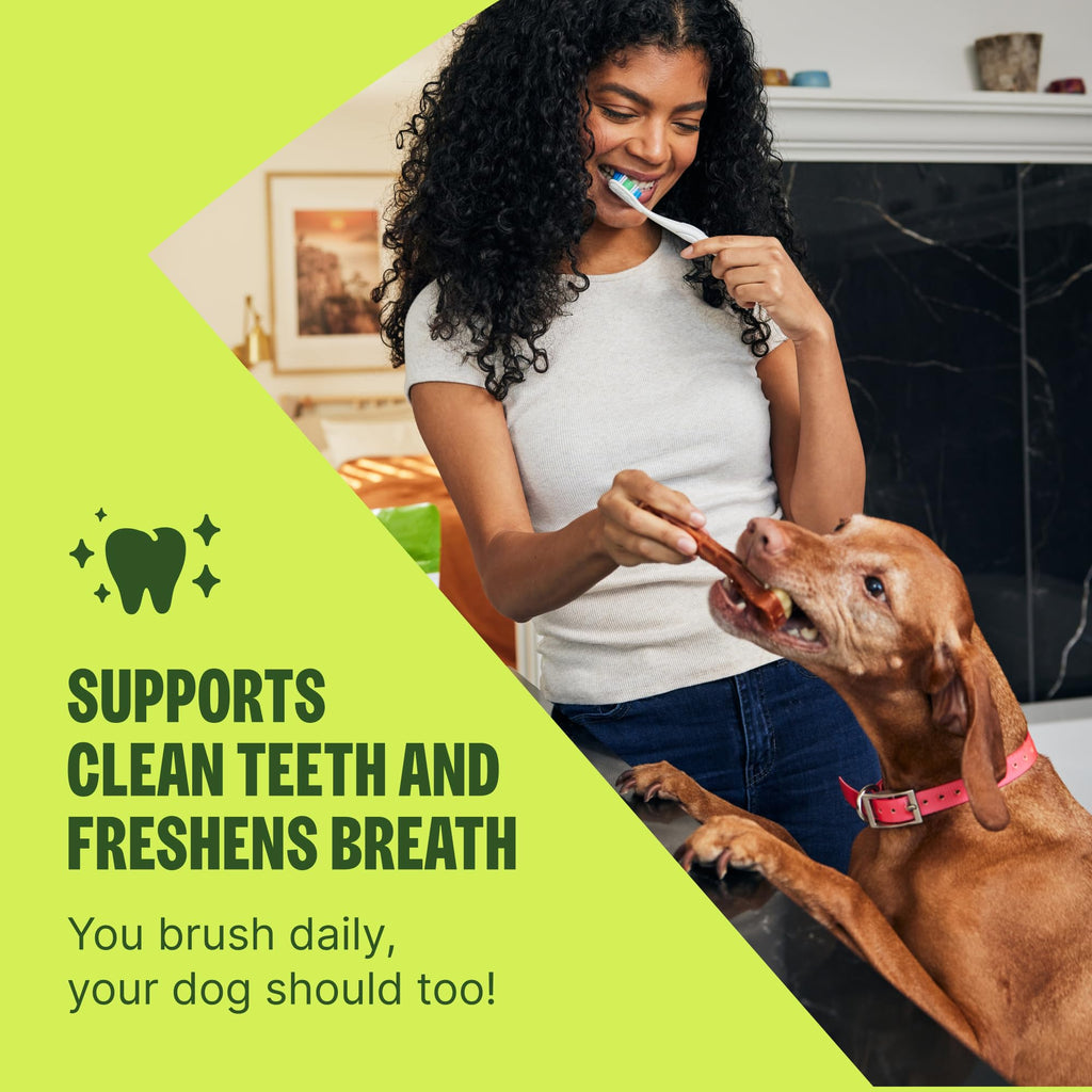 Natural Dog Dental Treat 12.7 oz 48 Count O2149