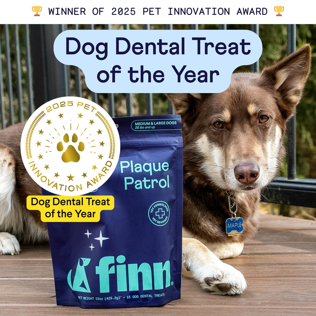 Dental Chews for Dogs 25+ lbs W158
