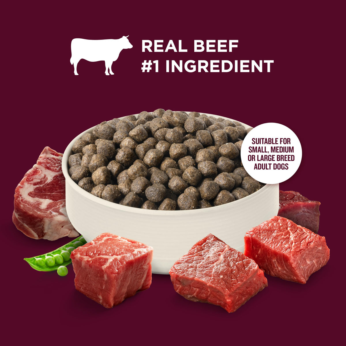 High Protein Dry Dog Food 4 lb. Bag V5466
