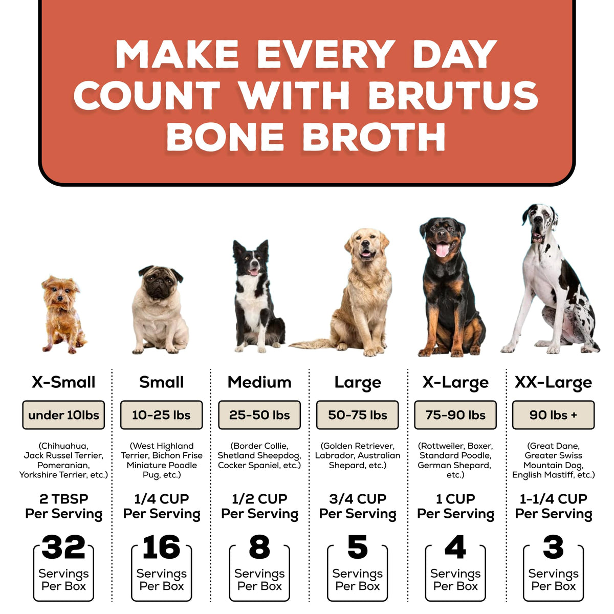 Instant Bone Broth Dog Food Topper Beef Flavor Pack of 2 W9797