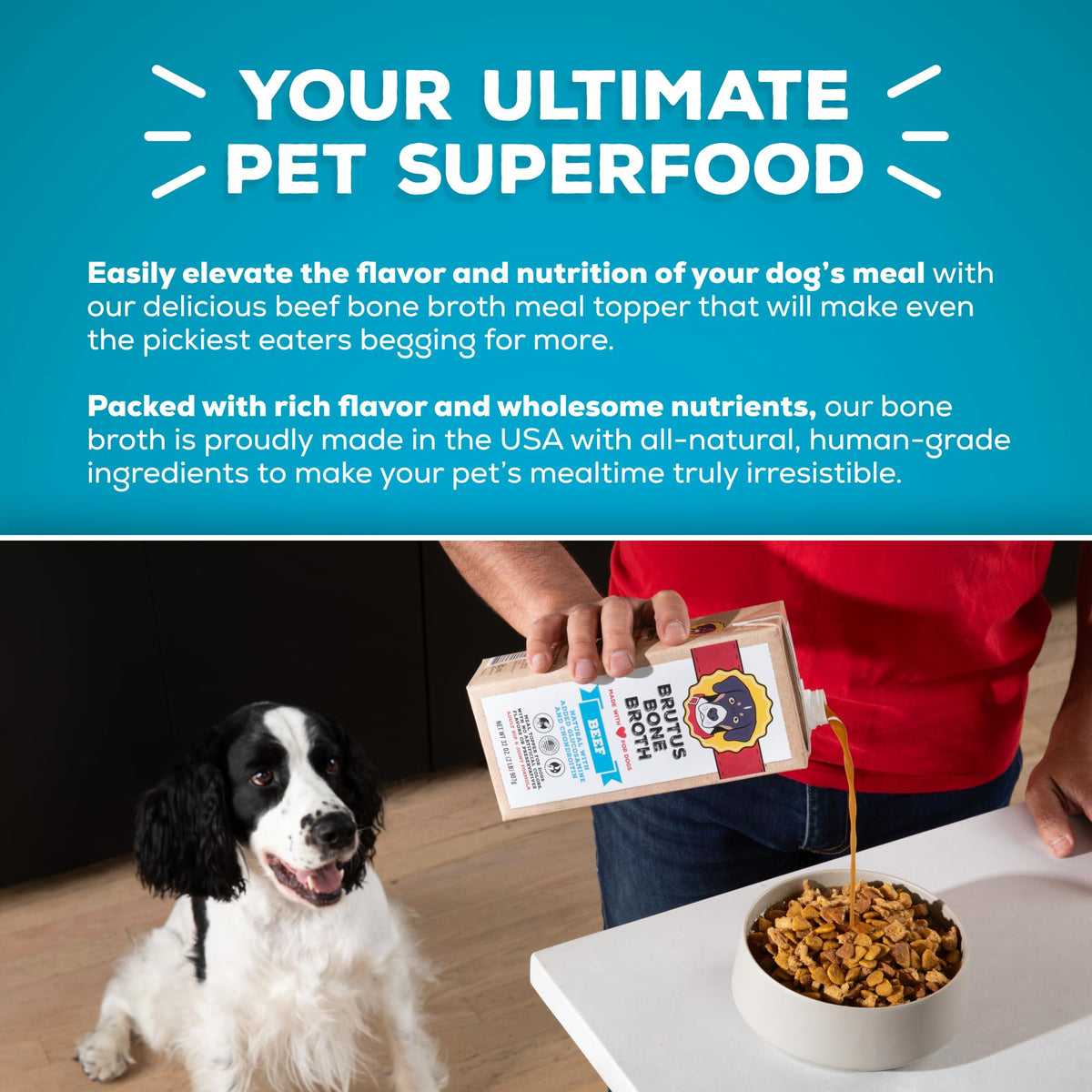 Instant Bone Broth Dog Food Topper Beef Flavor Pack of 2 W9797
