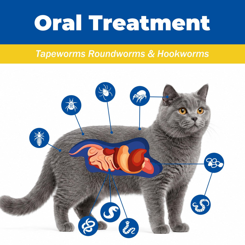 Pyrantel Pamoate Praziquantel Dewormer Tablets for Cats & Dogs F620