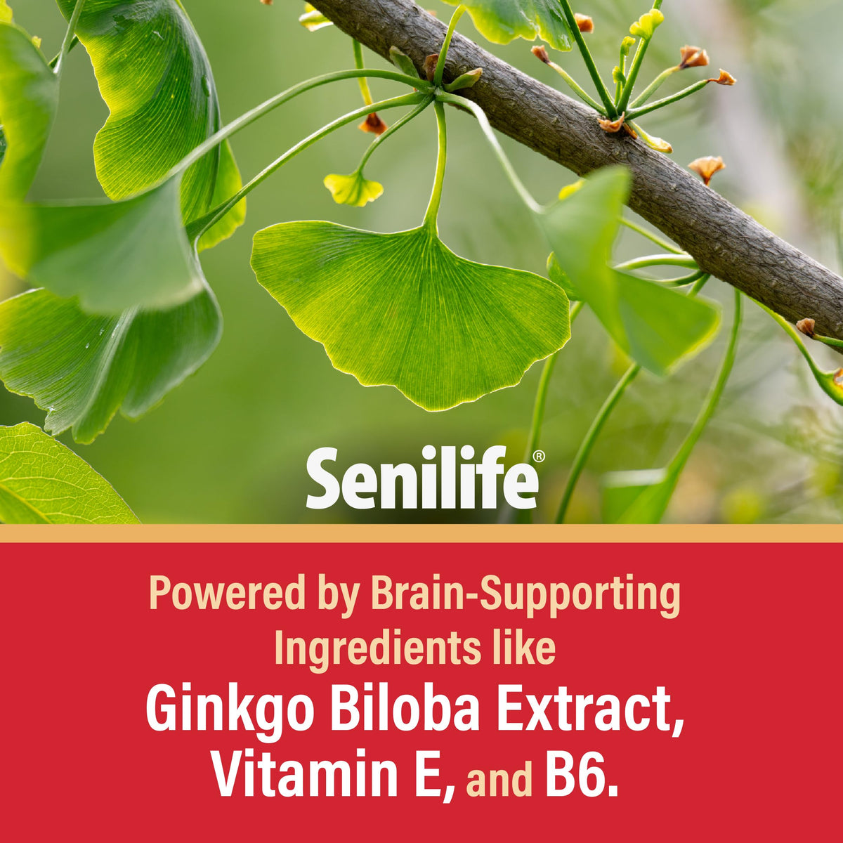 Cognitive Support Capsules for Senior Dogs, 30 Capsules J936604