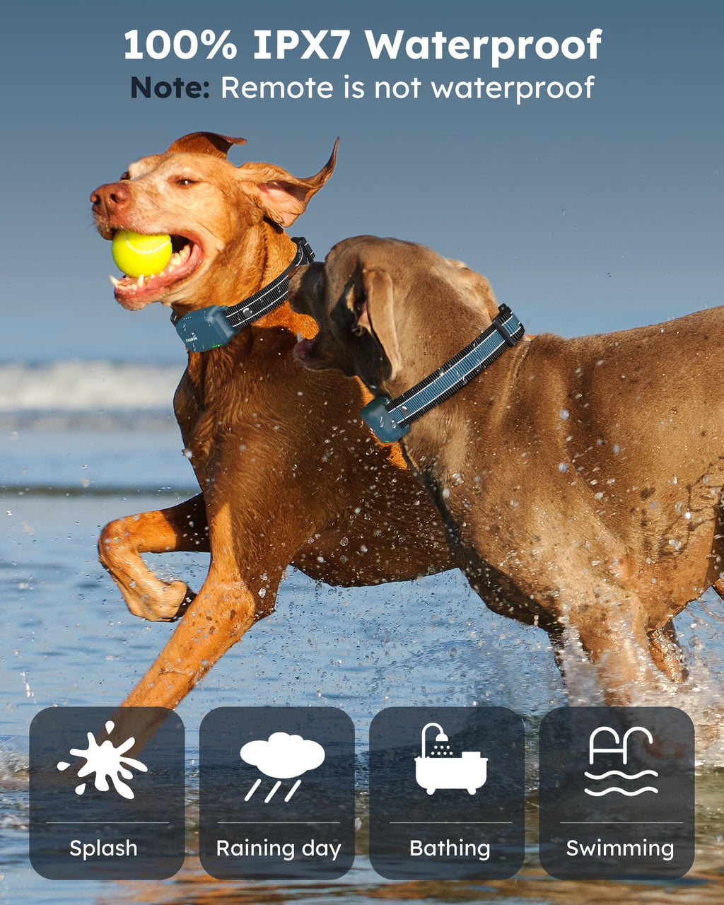 Dog Shock Collar with Remote W3472