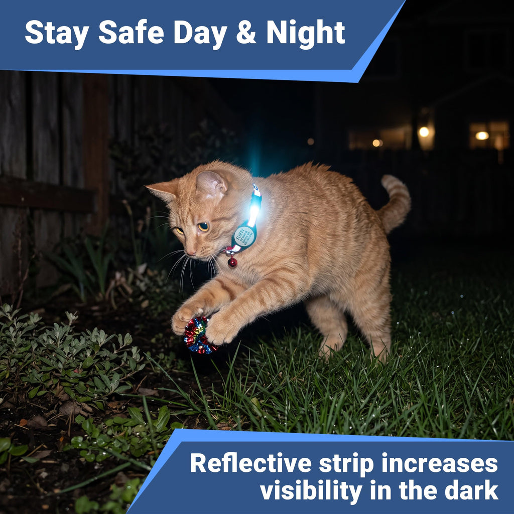 Reflective Breakaway Cat Collar H77583
