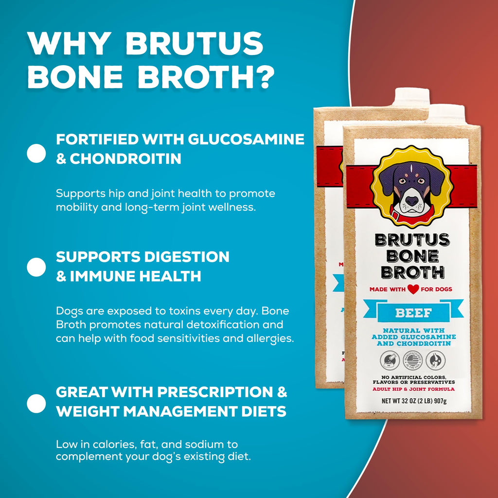 Instant Bone Broth Dog Food Topper Beef Flavor Pack of 2 W9797