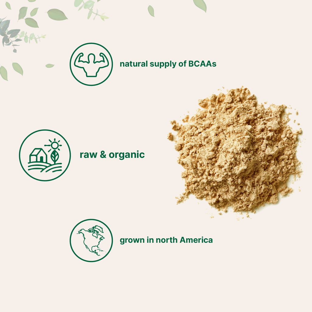 Organic Pea Protein Powder, 1KG (2.2 Pounds), Plant-Based Vegan Q85719