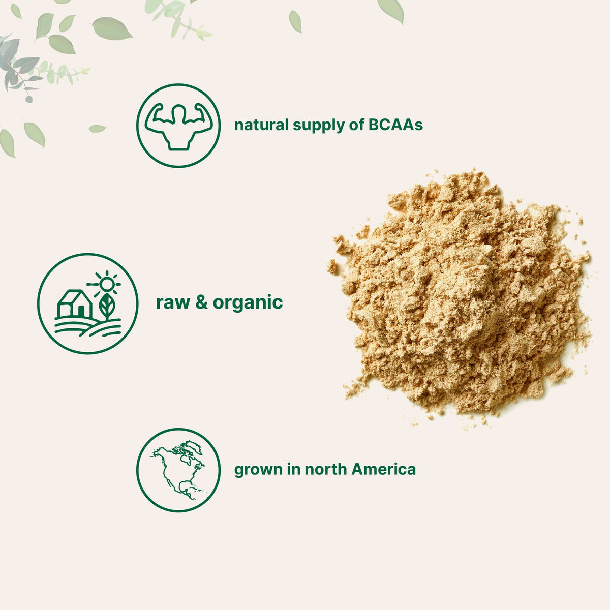 Organic Pea Protein Powder, 1KG (2.2 Pounds), Plant-Based Vegan Q85719
