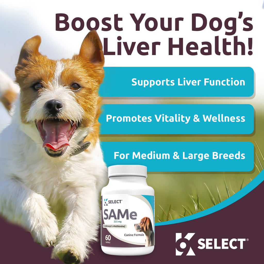 Dog Liver Supplement 60 Tablet 225mg Q27895