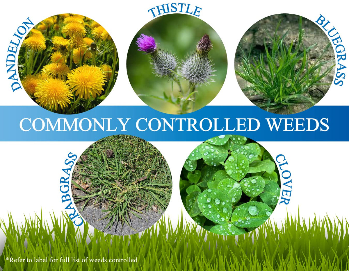 Non Ionic Surfactant 16oz and Mesotione 8oz Weed Killer P57690