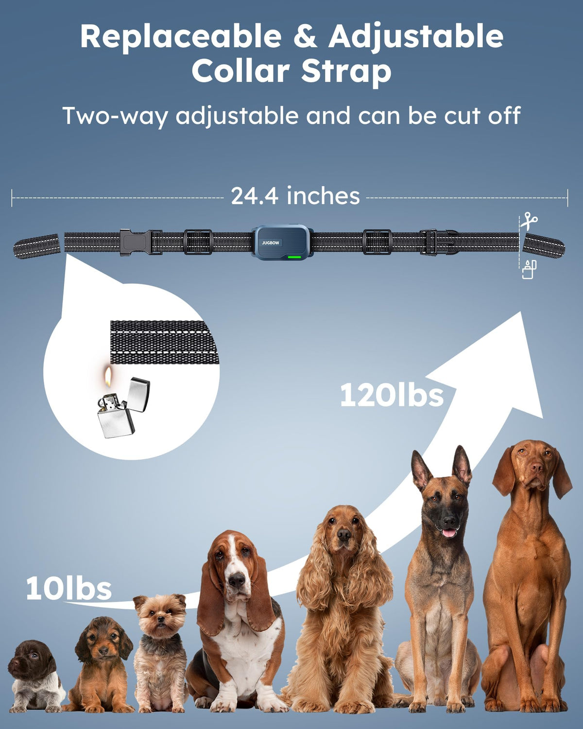 Dog Shock Collar with Remote W3472