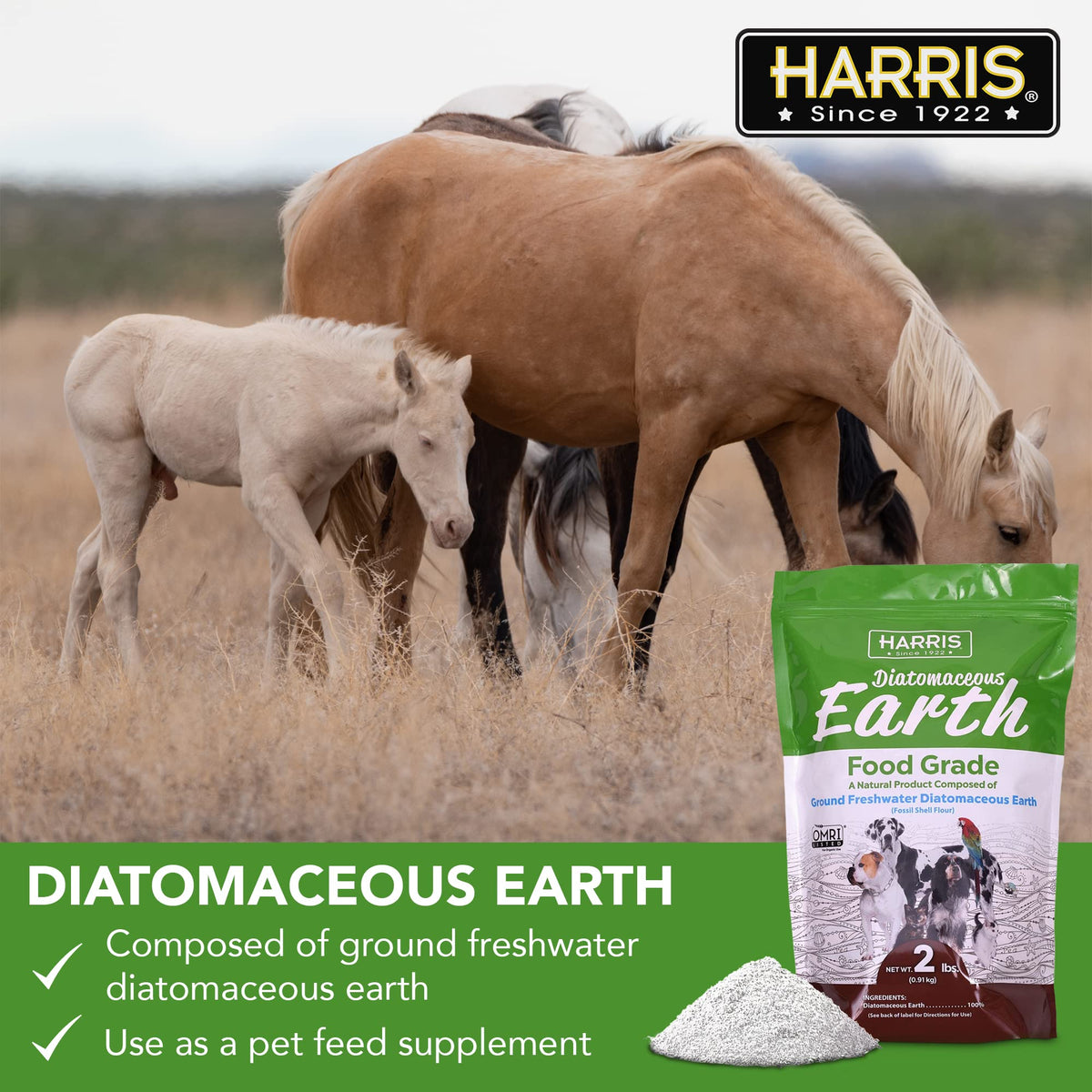 Food Grade Diatomaceous Earth 2 LB Bag Y687265