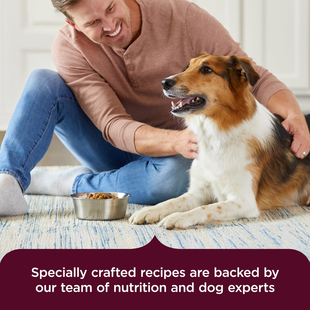 High Protein Dry Dog Food 4 lb. Bag V5466