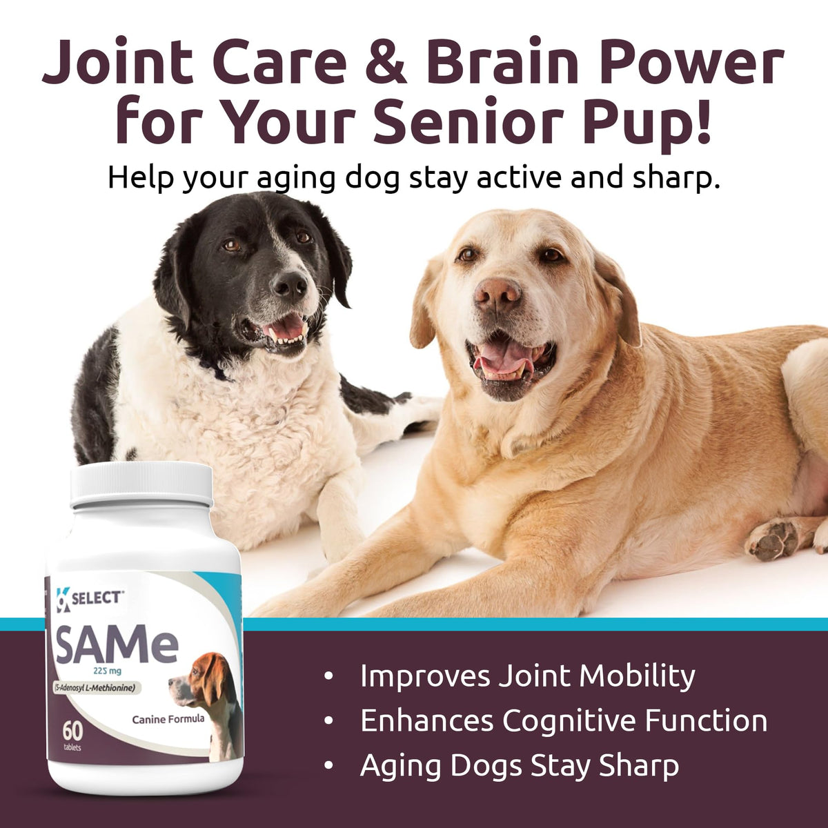 Dog Liver Supplement 60 Tablet 225mg Q27895