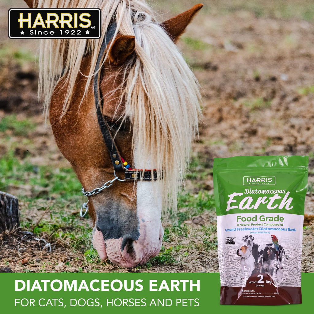 Food Grade Diatomaceous Earth 2 LB Bag Y687265