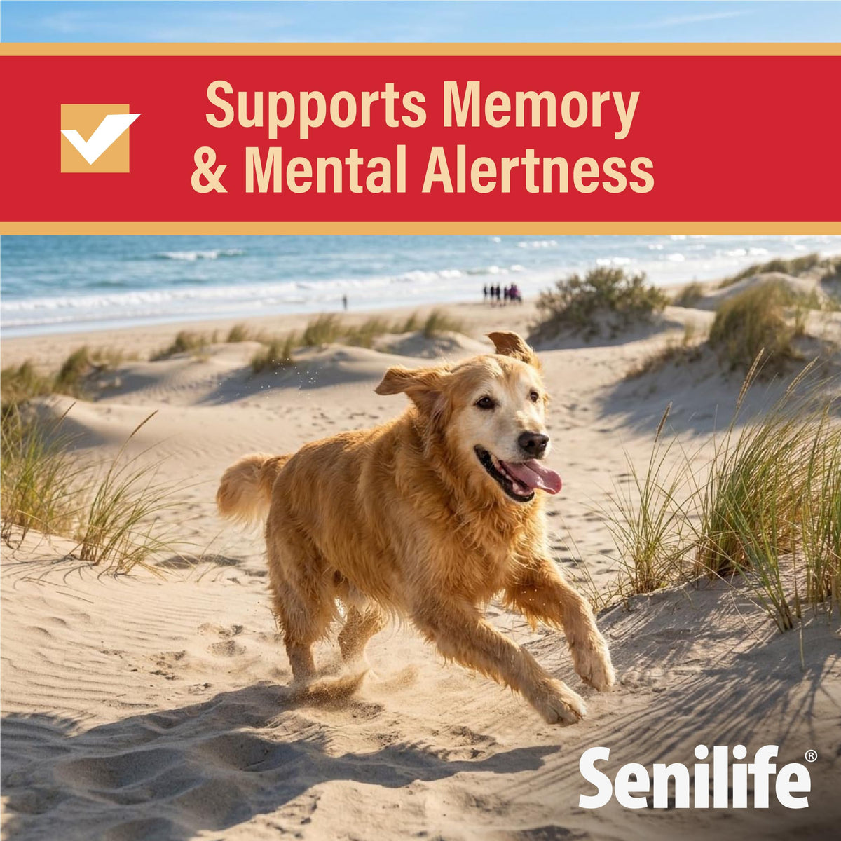 Cognitive Support Capsules for Senior Dogs, 30 Capsules J936604